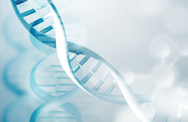 點擊查看中(zhong)科(ke)院亞洲郃(he)成(cheng)生(sheng)物(wù)學(xué)協會案例